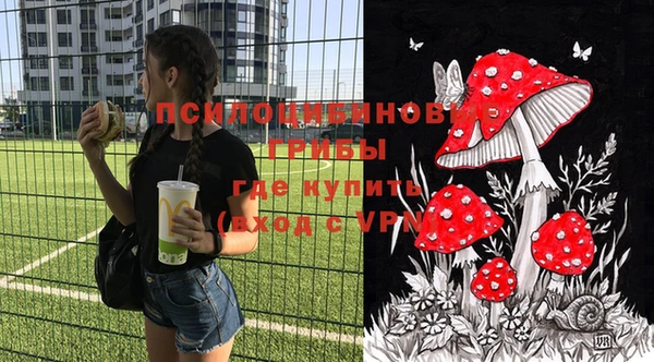 твердый Балахна
