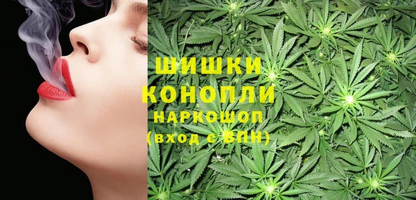 spice Аркадак