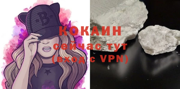 твердый Балахна