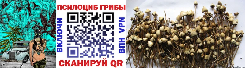Галлюциногенные грибы MAGIC MUSHROOMS  блэк спрут рабочий сайт  Кологрив 